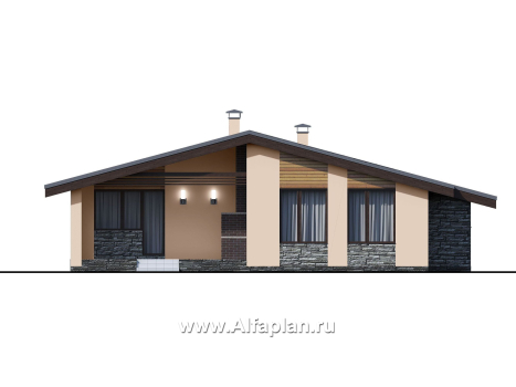 Проекты домов Альфаплан - «Дельта» - удобный и практичный каркасный дом в один этаж - превью фасада №4