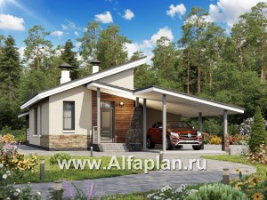 Проекты домов Альфаплан - «Дриада» - одноэтажный дом с гаражом-навесом - превью основного изображения