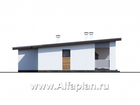 Проекты домов Альфаплан - «Эпсилон» - одноэтажный дом с сауной и джакузи на террасе - превью фасада №3