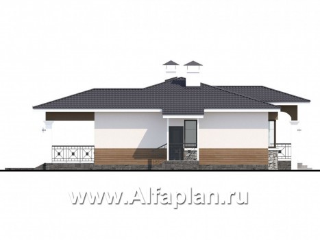 Проекты домов Альфаплан - "Новый свет" - проект одноэтажного дома для небольшой семьи - превью фасада №3